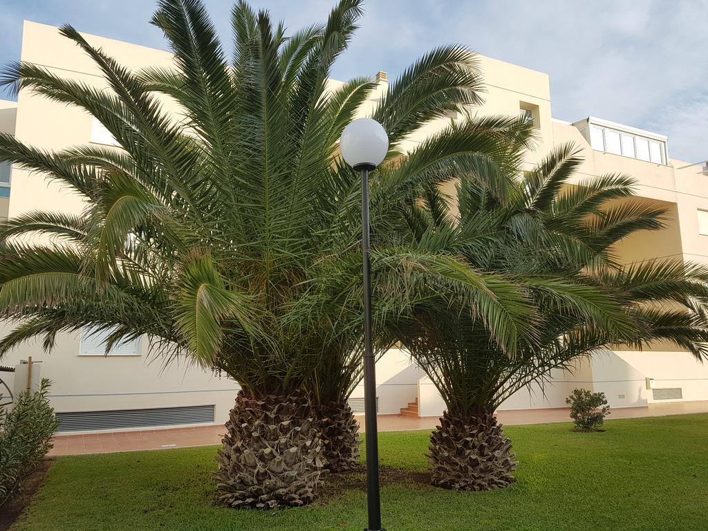 דירות Alondras Playa דניה מראה חיצוני תמונה